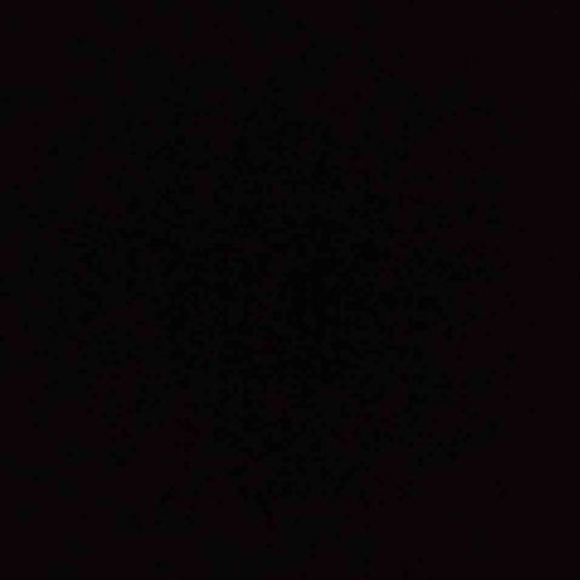 Meet your Posher, Kevin - Picture 1 of 1